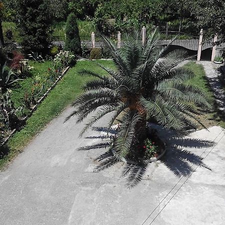 Guest House Vitali Gonio Esterno foto